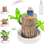 Madeira da Sorte com Monge Raro: Um Símbolo de Prosperidade - [Promoção Compre 1 Leve 2🔥]