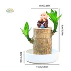 Madeira da Sorte com Monge Raro: Um Símbolo de Prosperidade - [Promoção Compre 1 Leve 2🔥]