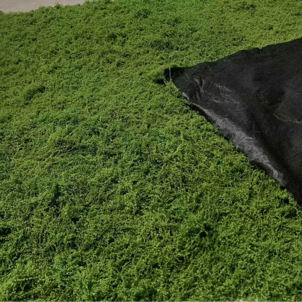 Musgo artificial de 1x1m para artesanato, grama artificial, musgo preservado, plantas verdes para decoração de casa, quarto, jardim e paisagismo